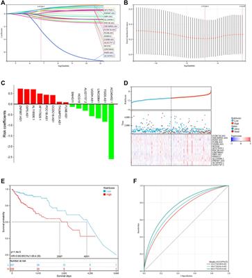 A Prognostic Pyroptosis-Related lncRNAs Risk Model Correlates With the Immune Microenvironment in Colon Adenocarcinoma